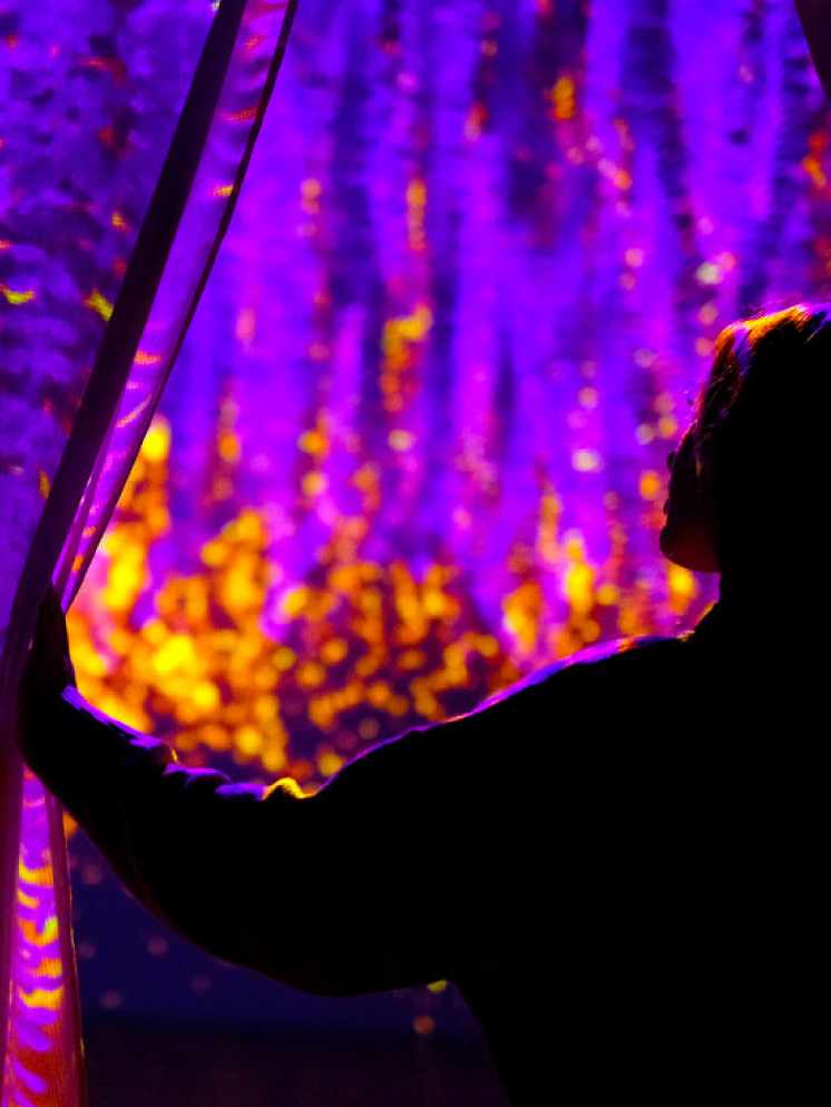 Wisteria gallery