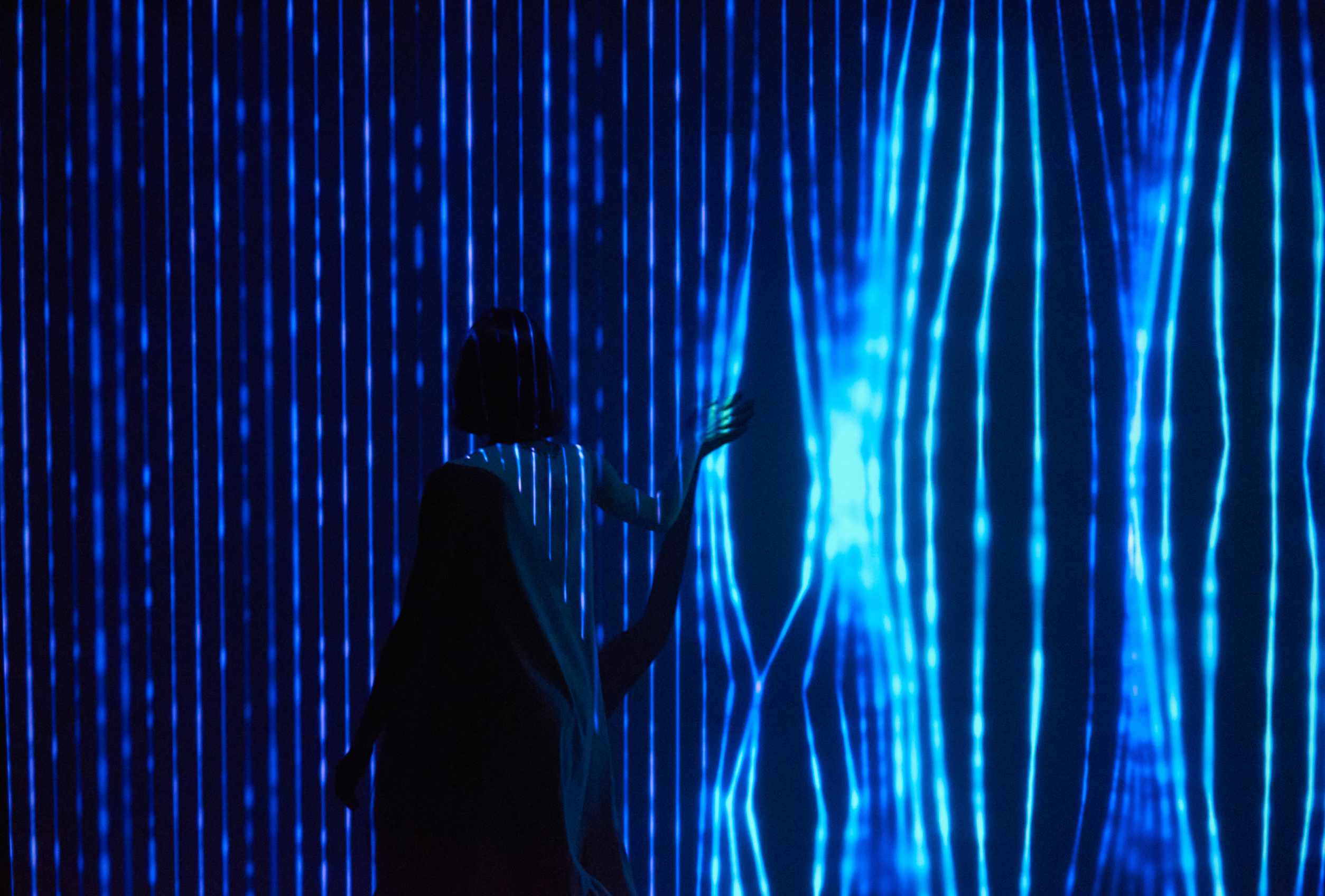 Harp gallery