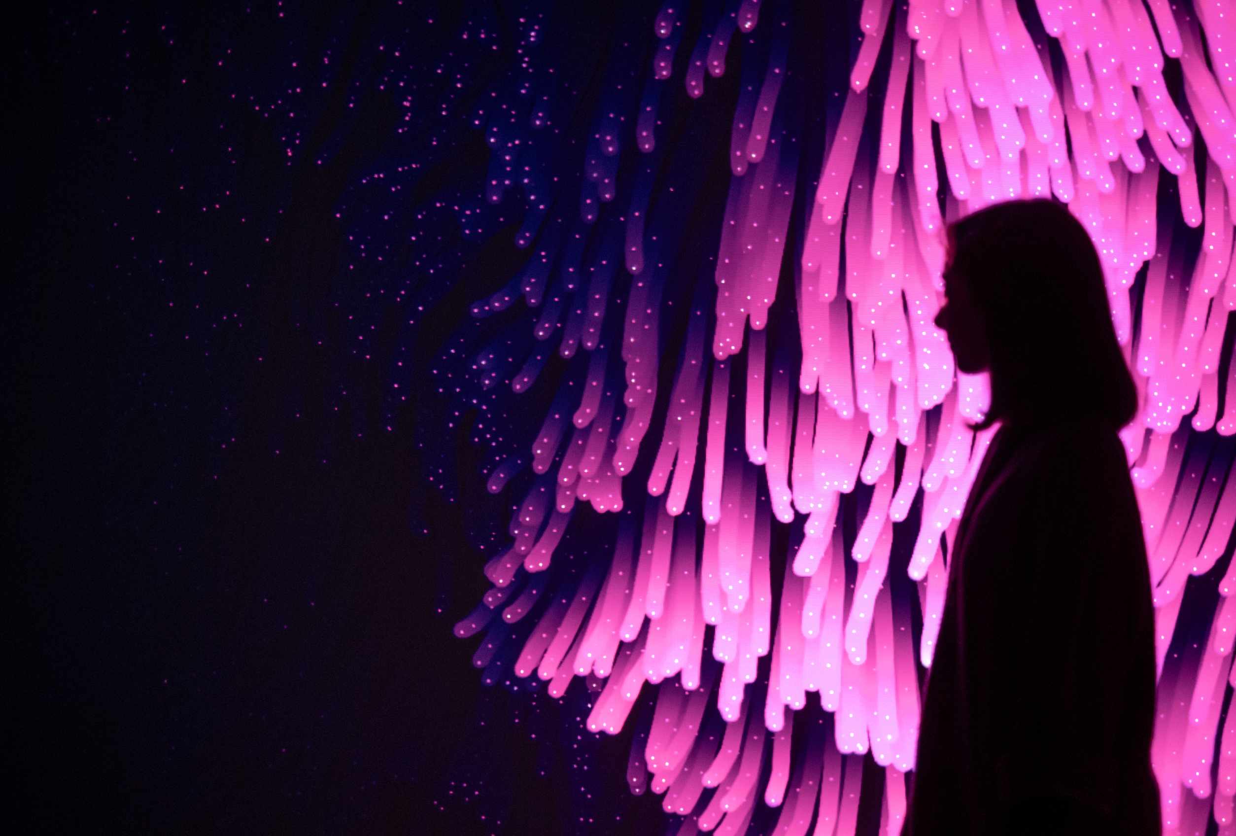 Hidden Life gallery