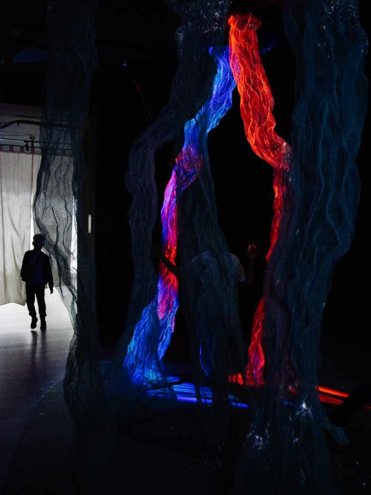 Shinrin-yoku gallery