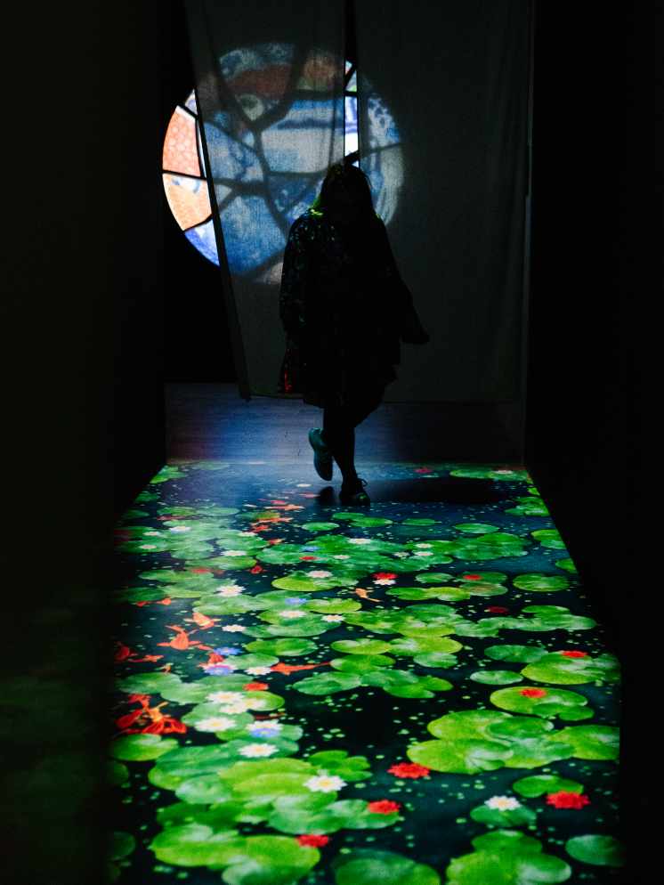 Кои gallery