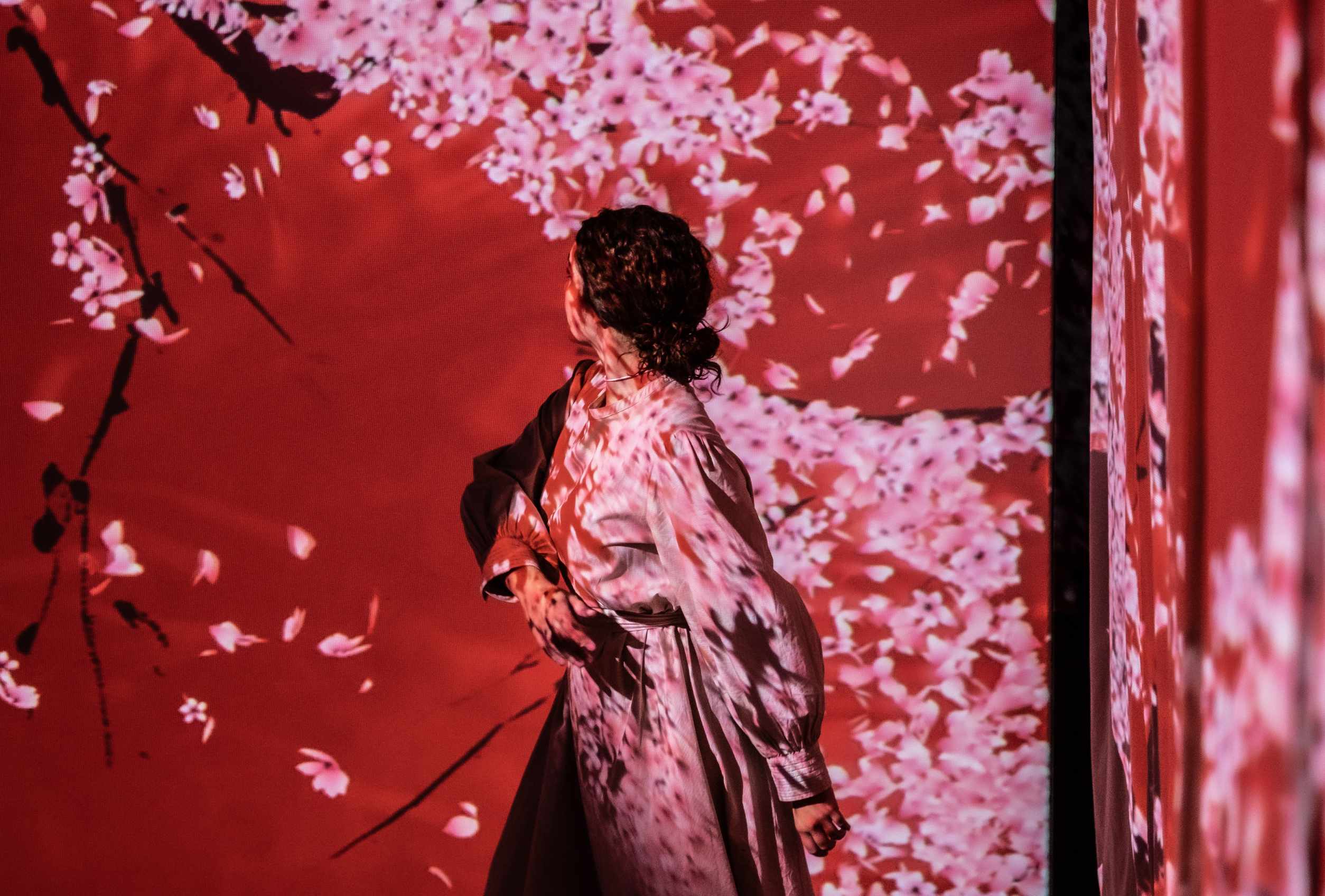 Hanami gallery