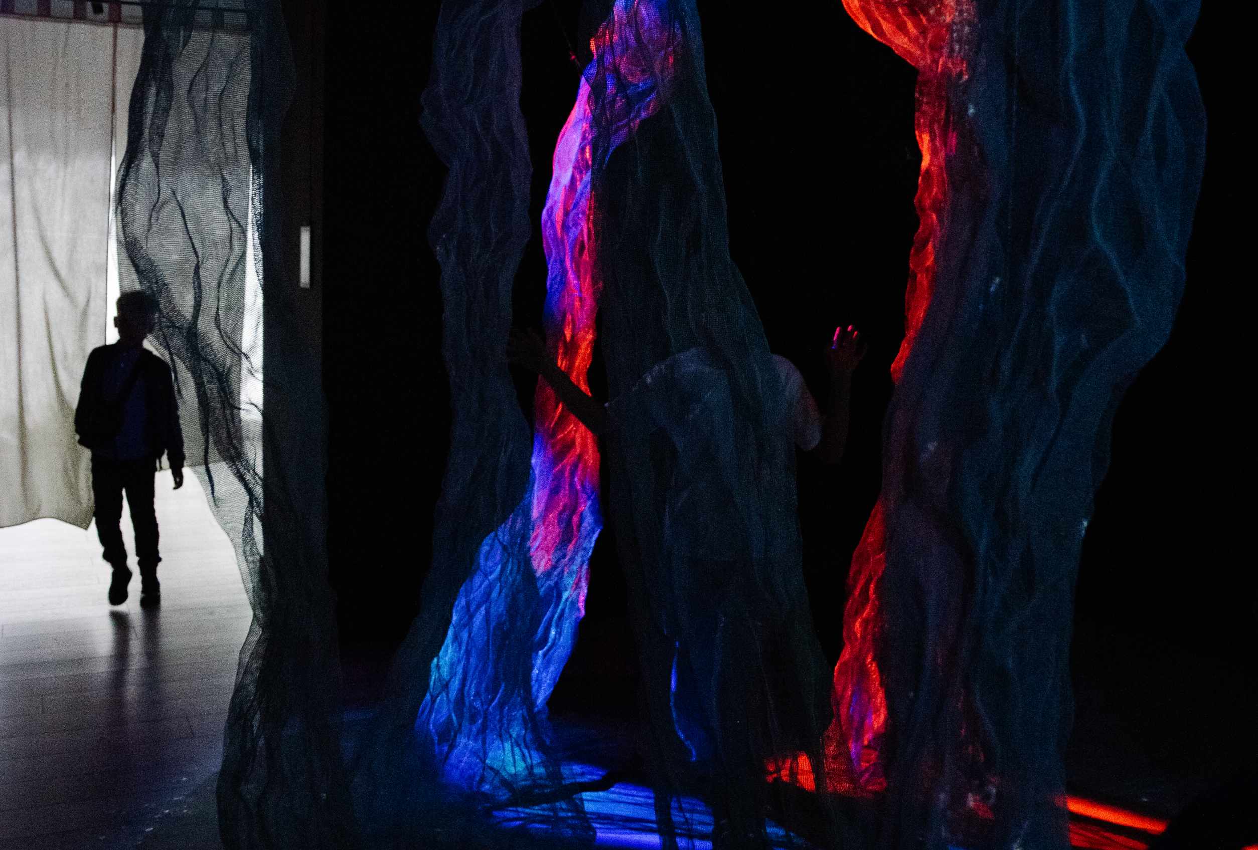 Shinrin-yoku gallery