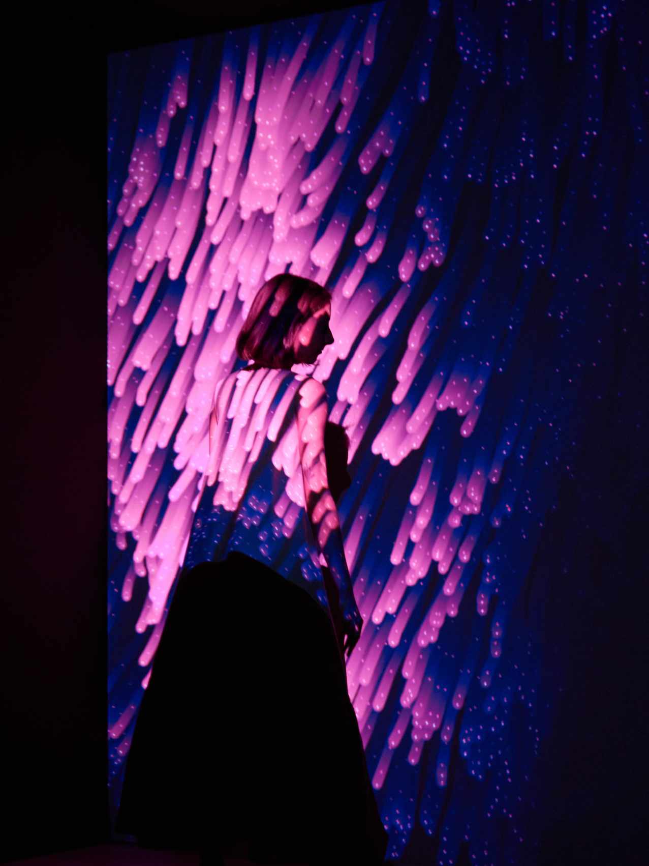 Hidden Life gallery