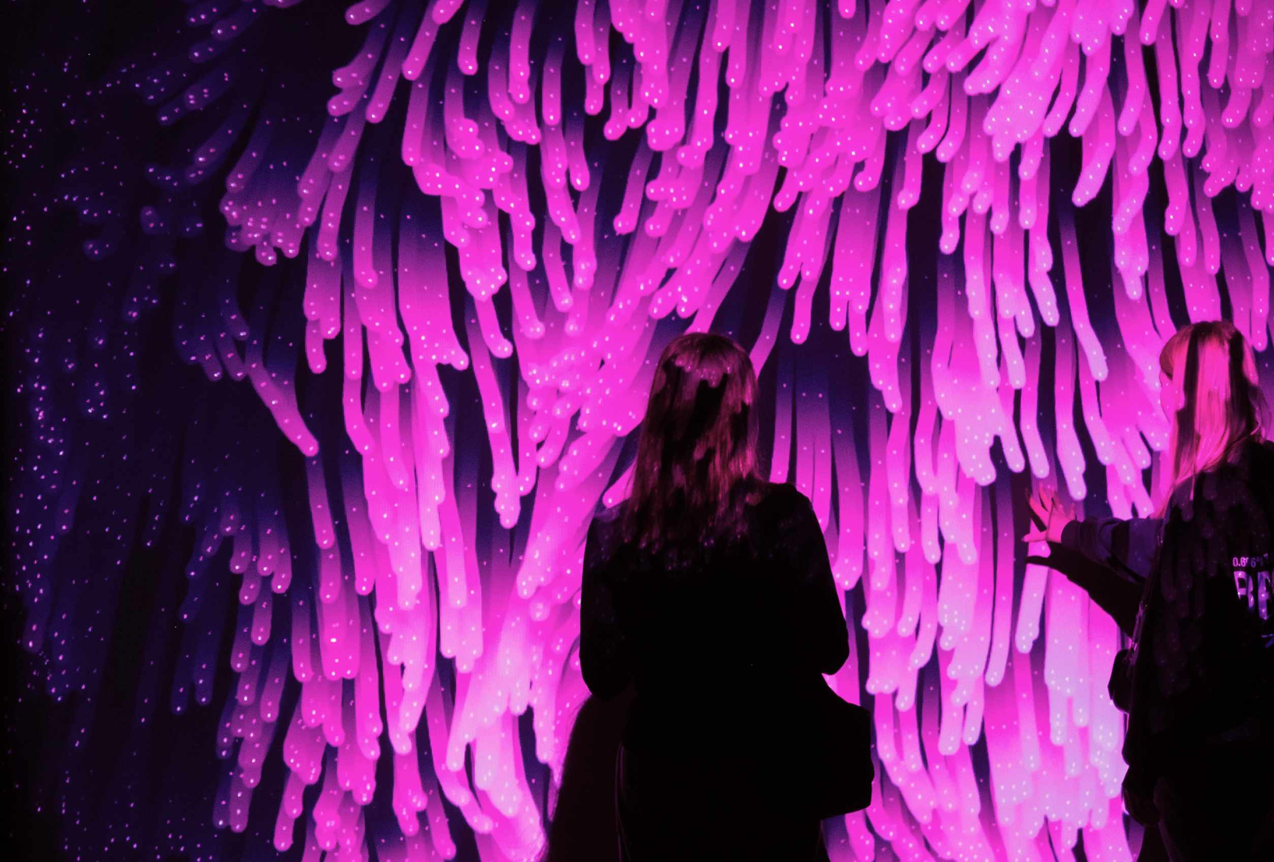 Hidden Life gallery