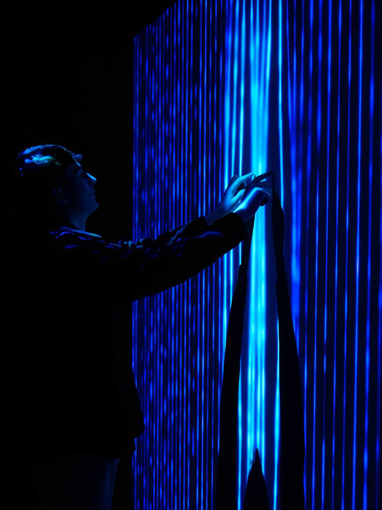 Harp gallery