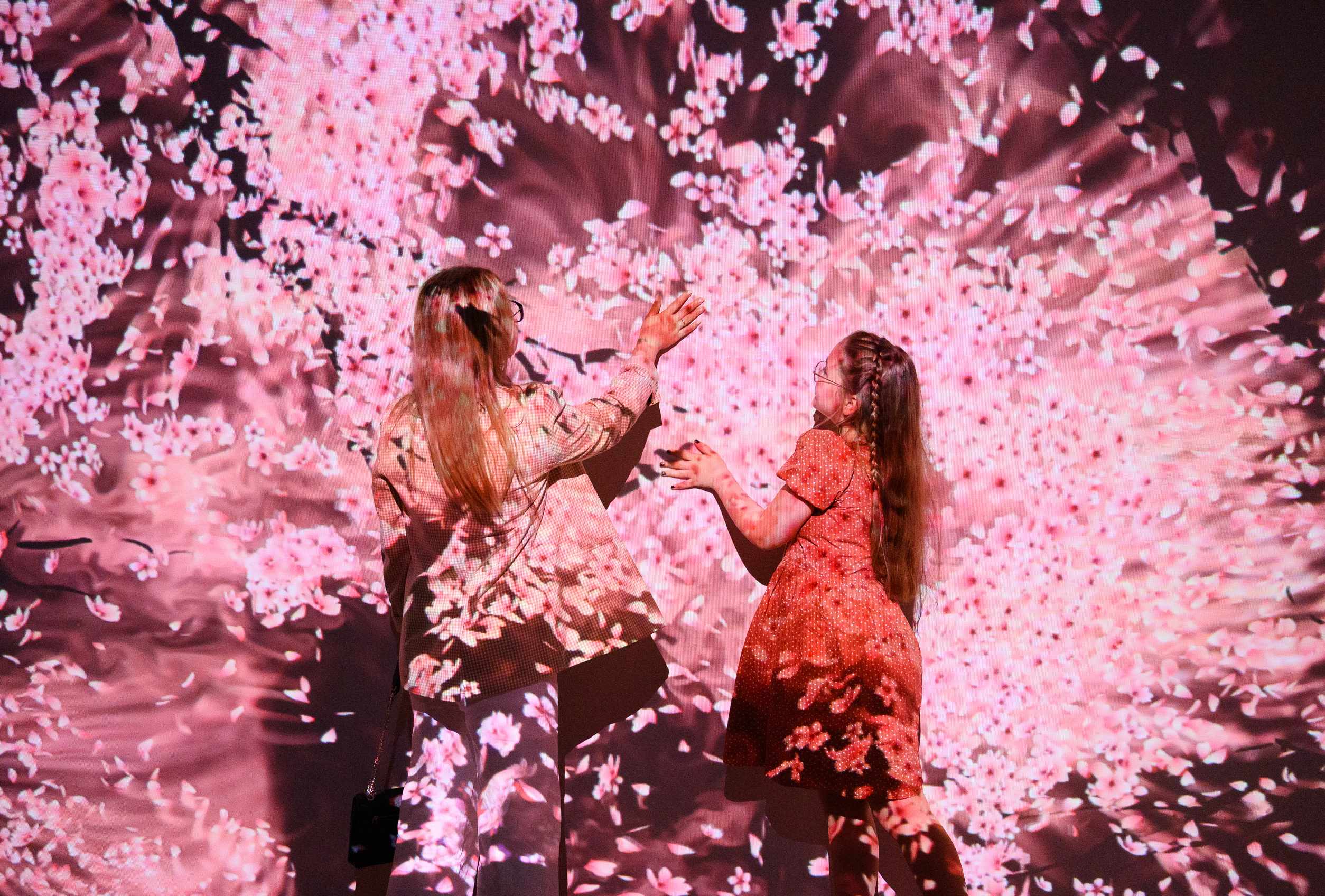 Hanami gallery