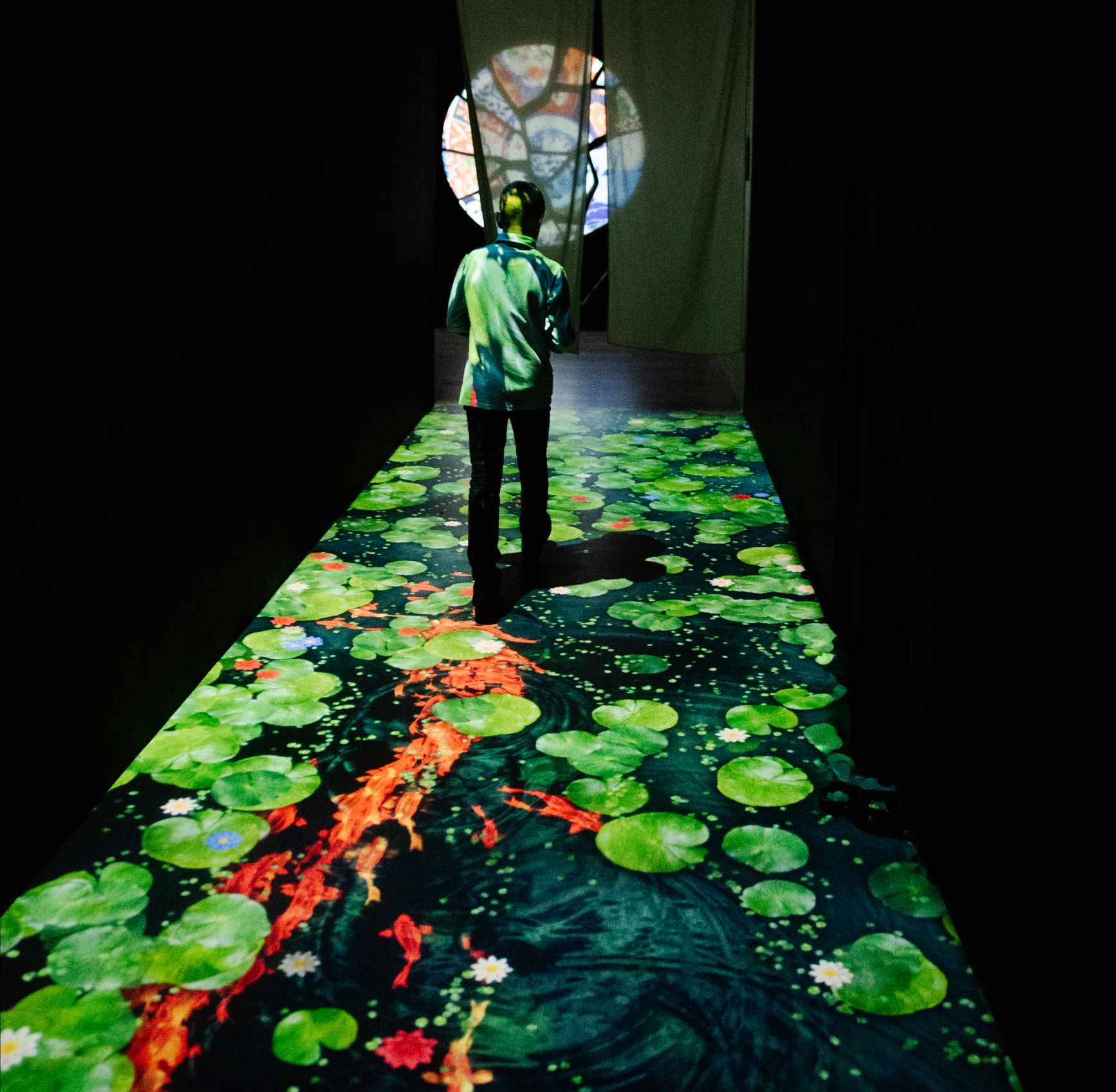 Кои gallery