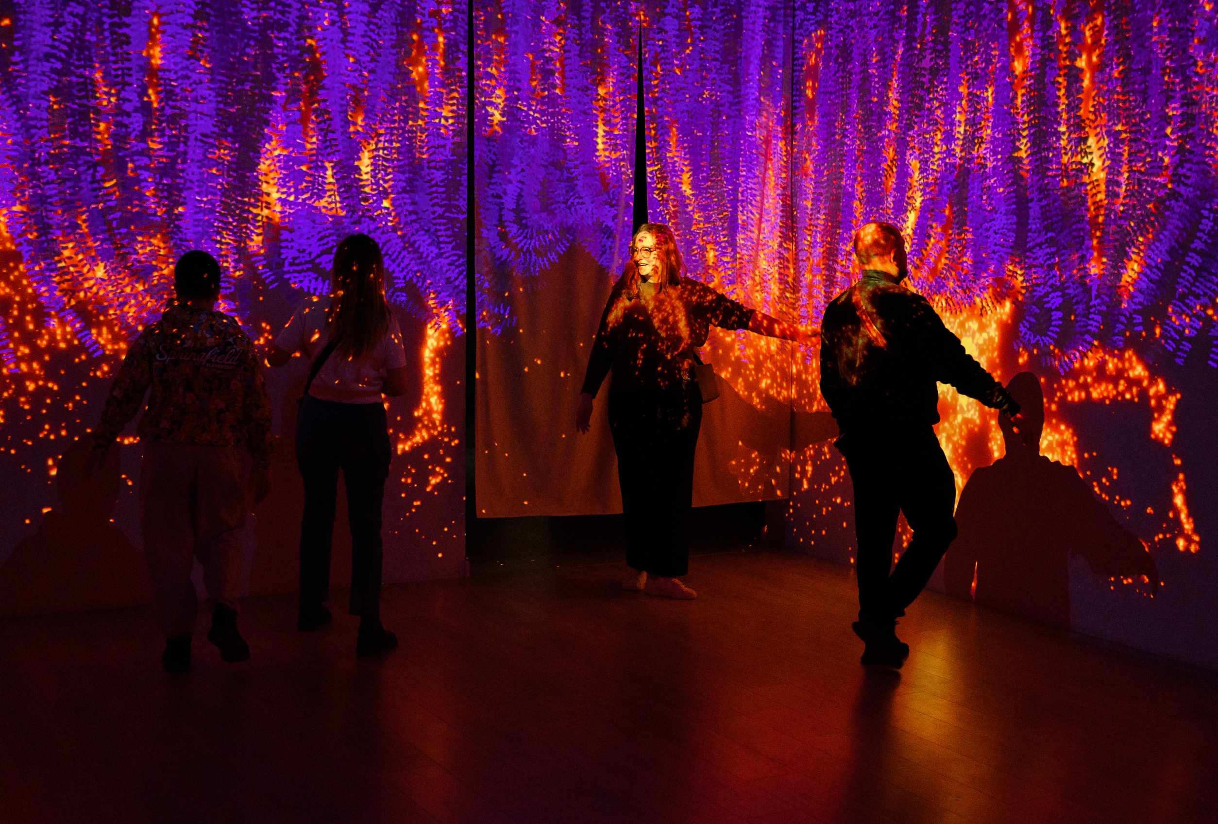 Wisteria gallery