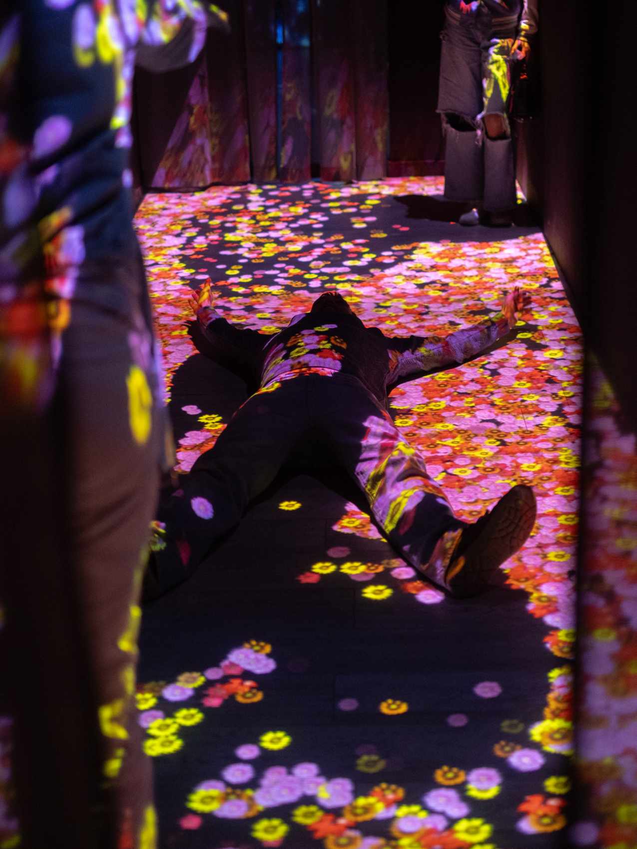 Field of Flowers gallery