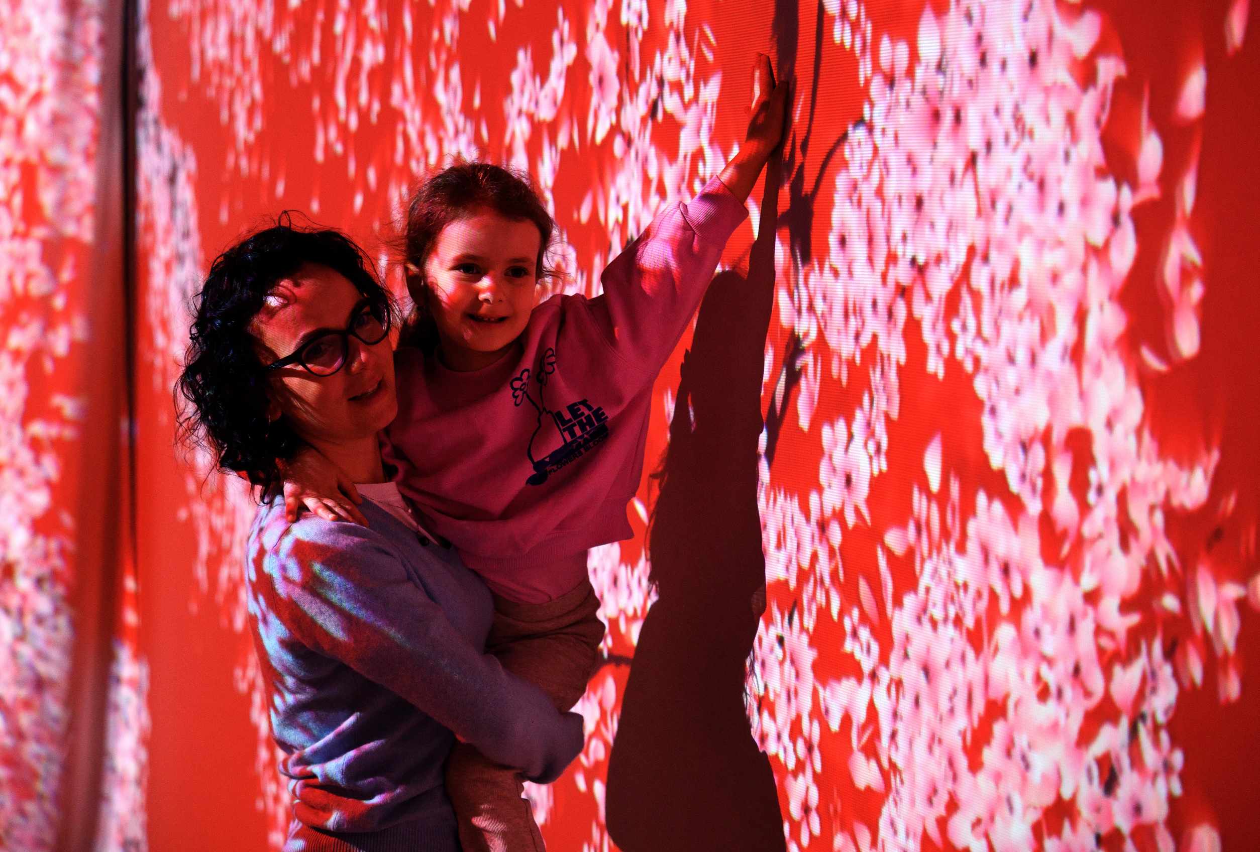Hanami gallery