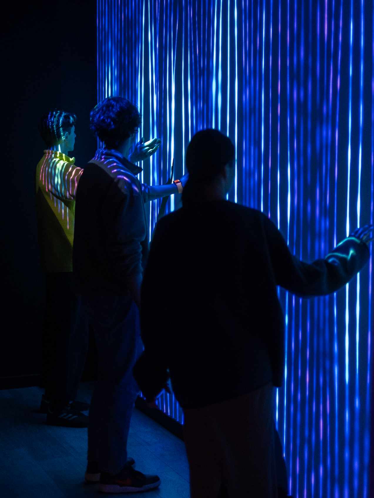 Harp gallery