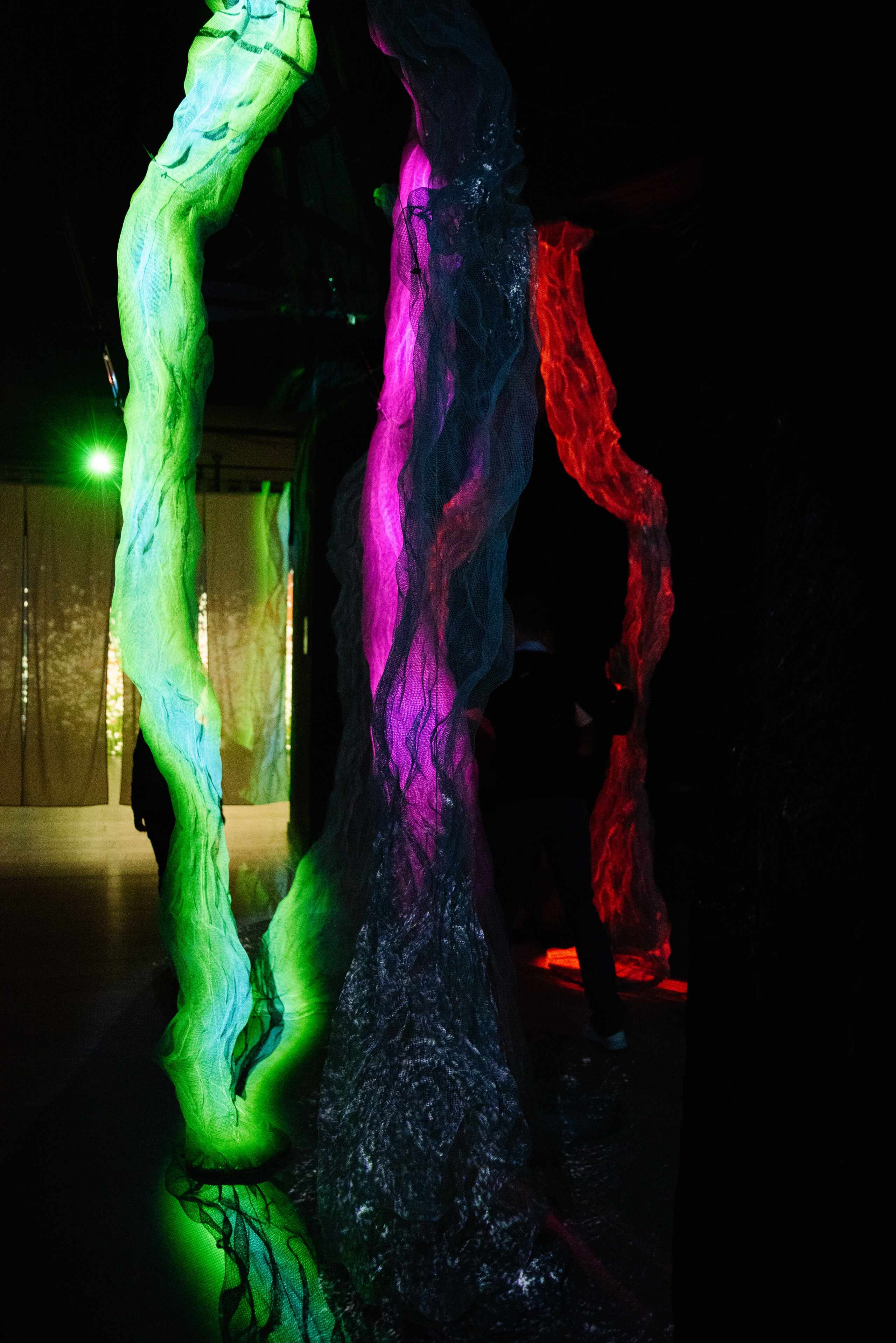Shinrin-yoku gallery